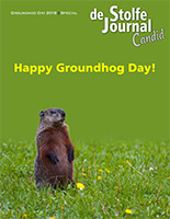 Special - Groundhog Day