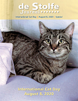 Special - International Cat Day