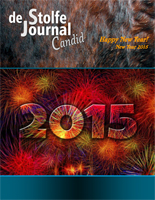 Special - Happy New Year 2015