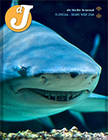 13.Special - Shark Week 2024