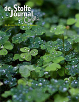 Special - St Patrick's Day